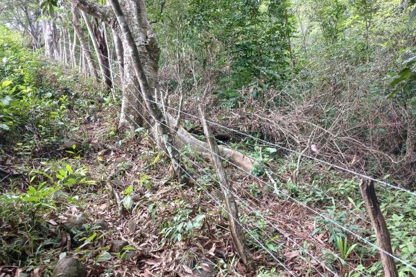 Sale of land 116 acres in san miguel, pacora river