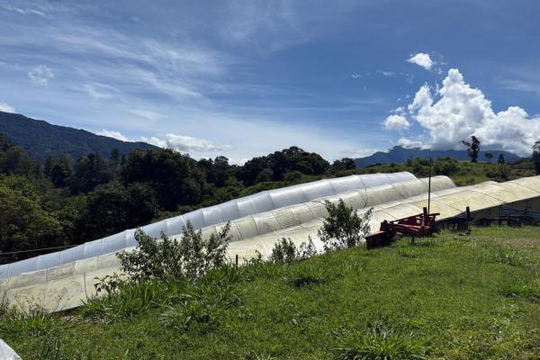 Venta de finca agroindustrial en volcan