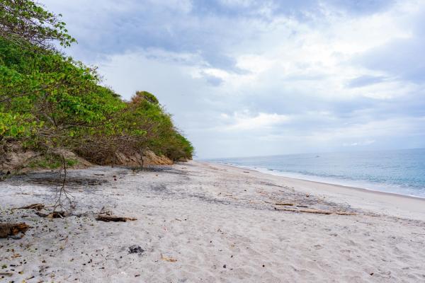 Oceanfront investment opportunity in playa el higo