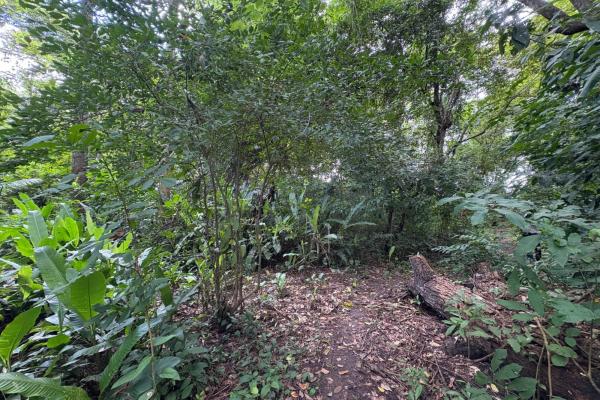 +9 hectares of flat beachfront land for sale