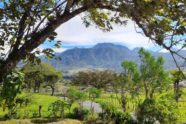 Lote privilegiado en venta en volcán