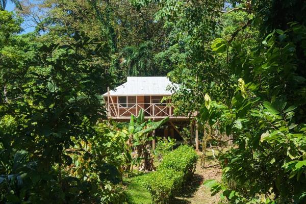 Retiro de finca de cacao de 14 hectáreas en tierra oscura