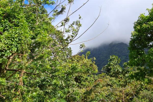 Exceptional mountain lot in el valle de antón!