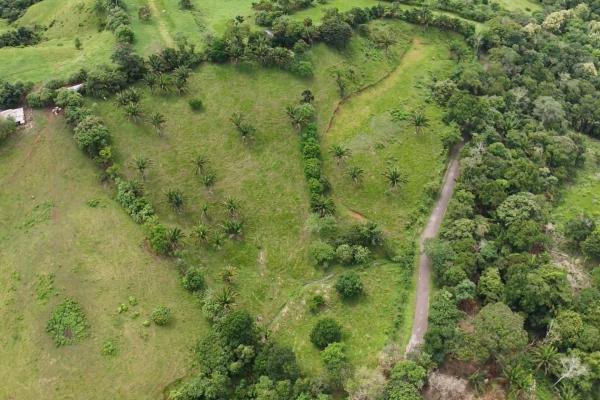 Land for sale in el trapichito, la chorrera