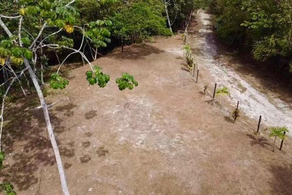 Finca de 4.3 hectareas – proyecto ideal comunidad