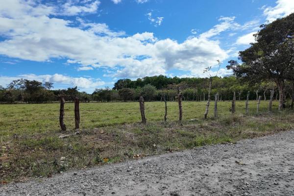 Prime flat land for sale in cochea abajo, david