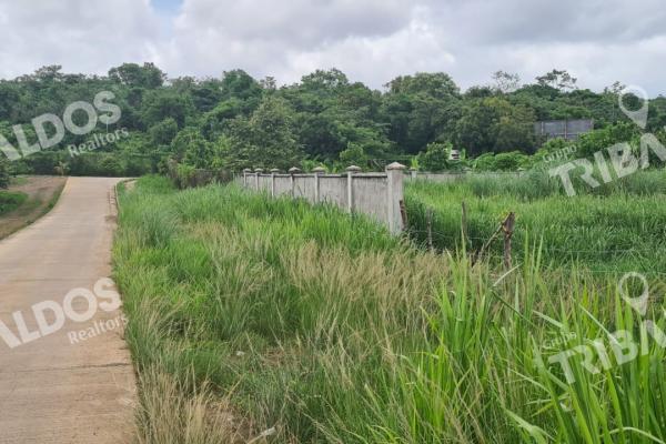 Terreno para desarrollo residencial