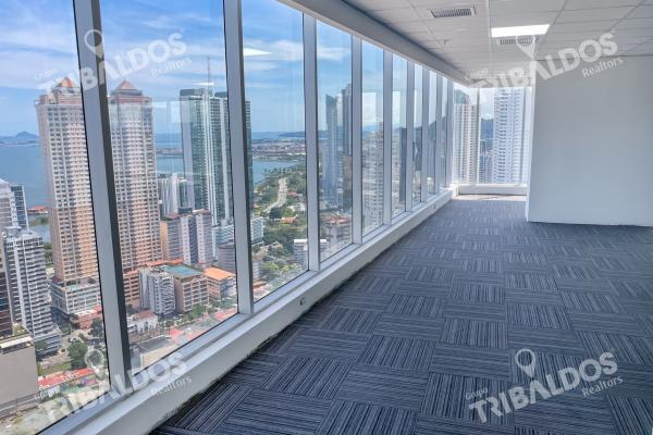 Alquiler de oficina en evolution tower