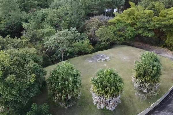 Casita de montaña y gran terreno