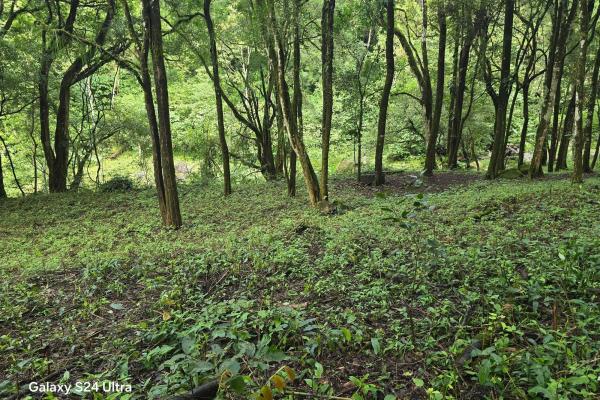 Terreno de 6,9 ha junto a boquete country club — venta de globo entero