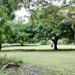 Venta de terreno en gorgona