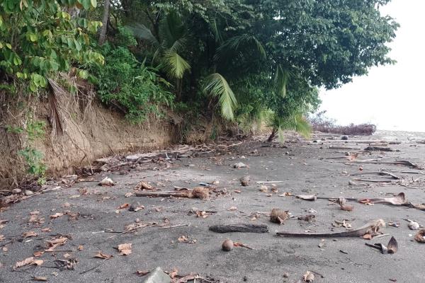 Land 172 acres in puerto armuelles, limones io