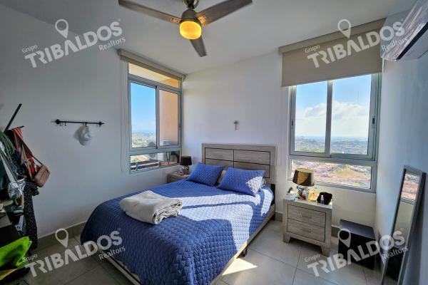 Venta o alquiler de apartamento en ph greenwood tower, tumba muerto