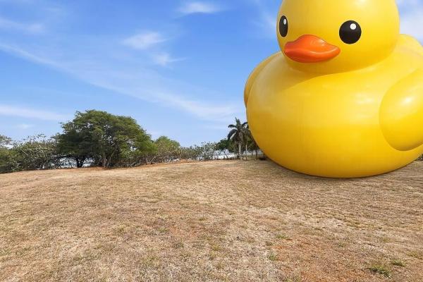 Costa pedasí beachfront lot – 35m premium frontage