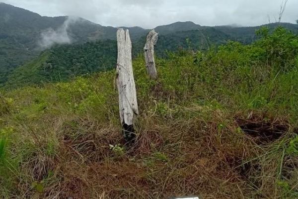 22 hectares within altos del maria with views