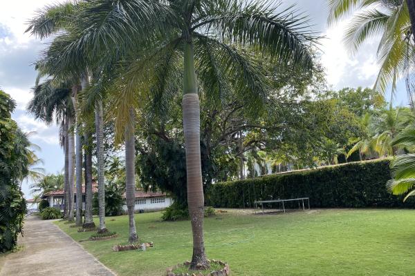 Sale of a house in front of the sea in coronado