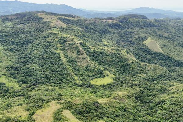 El jobo — terreno de desarrollo frente al río