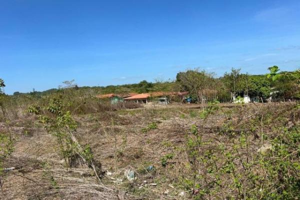 Land for investment in veraguas, santiago