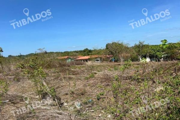 Land for investment in veraguas, santiago