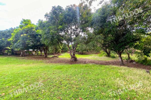 Venta de terreno en punta barco