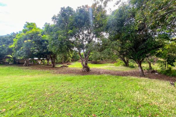 Venta de terreno en punta barco