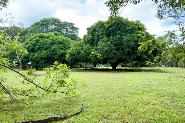 Venta de terreno en gorgona