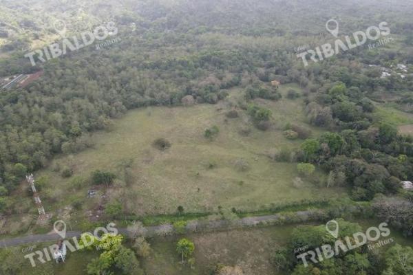 Finca en nuevo san juan , colón , 250 ha