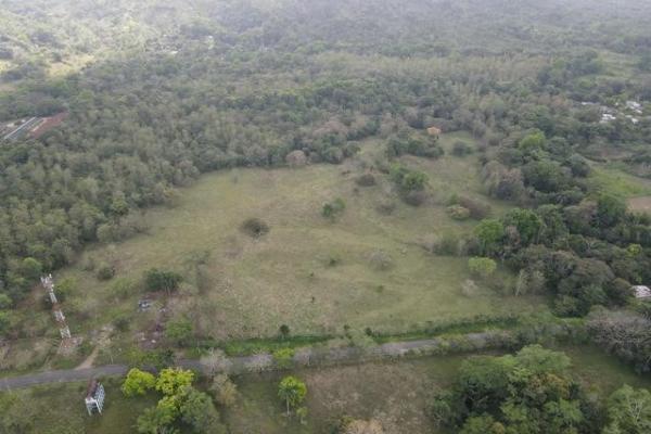 Finca en nuevo san juan , colón , 250 ha