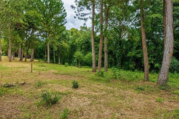 Se vende terreno de 1.9 hectáreas en potrerillos arriba