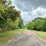 Land for sale 1 in gorgona