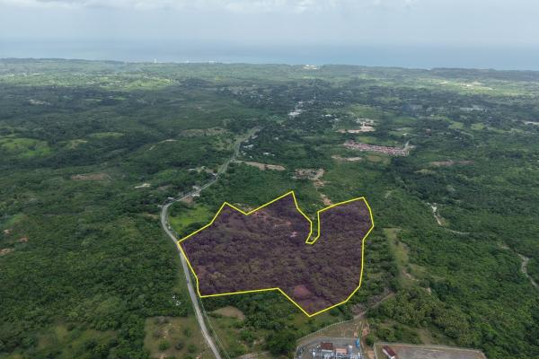Land for sale 9.9 hectares in san carlos