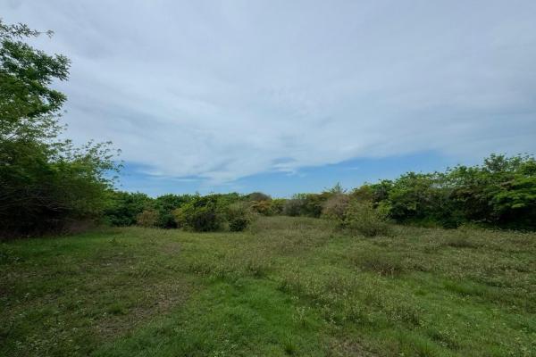 Venta de terreno de 9.9 hectáreas cerca de playas en el higo, san carlos