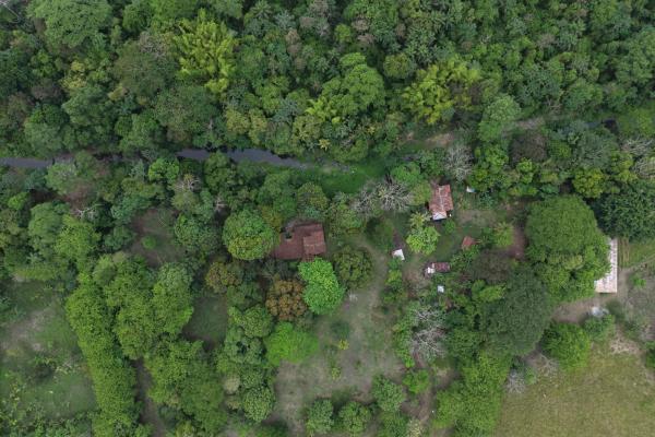 Flat farm with 300 m2 concrete house