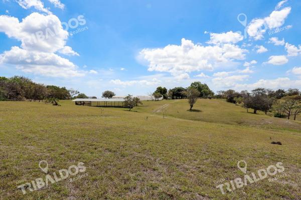 Venta de granja con mejoras en san carlos