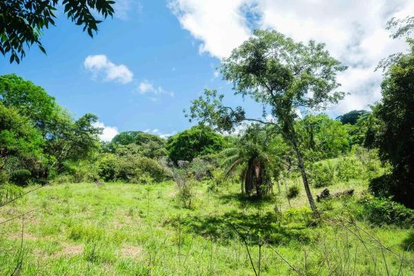 Expansive land for sale in las lomas, david
