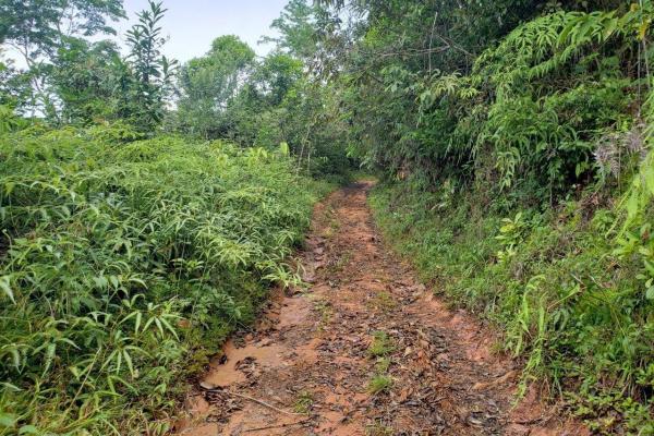 Land for sale in colon, buena vista, el giral