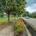 Roadside property with 2,906 m² in dolega