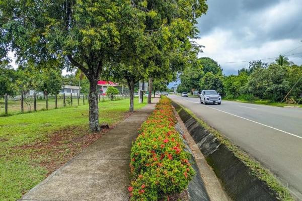 Roadside property with 2,906 m² in dolega