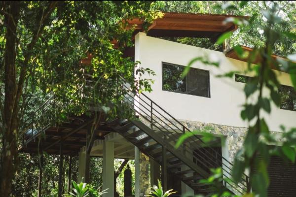 Beautiful modern jungle home for sale in morrillo