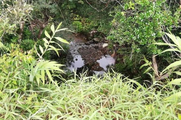 Amplios 5 hectáreas en venta en alto boquete