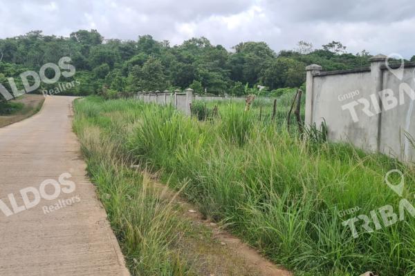 Terreno para desarrollo residencial