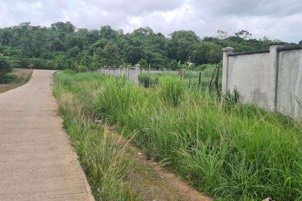 Terreno para desarrollo residencial