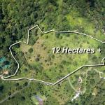 12 plus - ha producing coffee farm in boquete