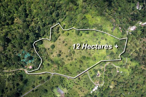 12 plus - ha producing coffee farm in boquete