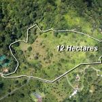 12 plus - ha producing coffee farm in boquete