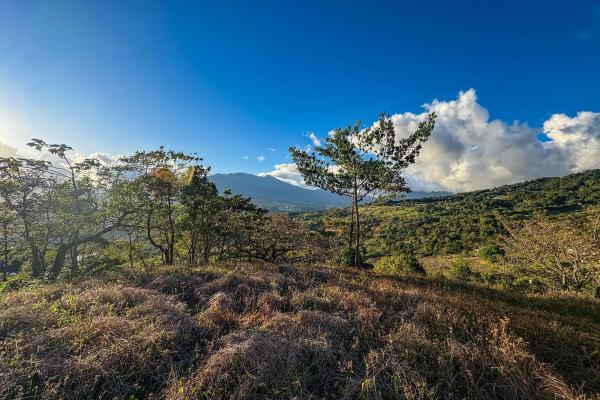 Mountain view lot for sale in jaramillo, boquete