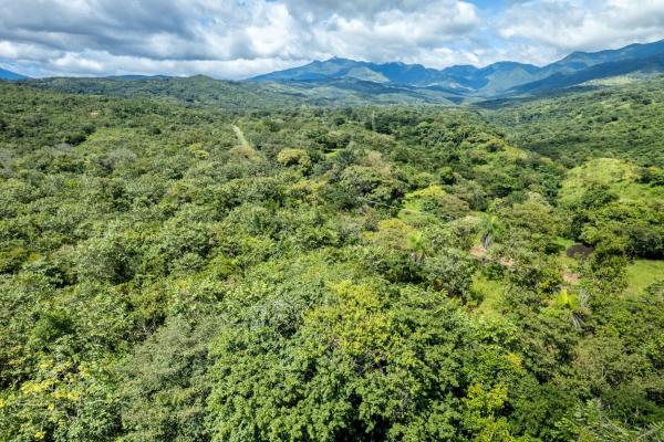 22 hectares of pristine land caldera panama