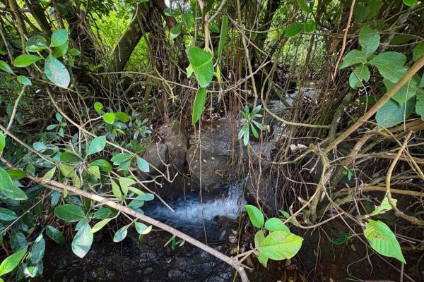 1.28-acre lot sale in potrerrillos, dolega