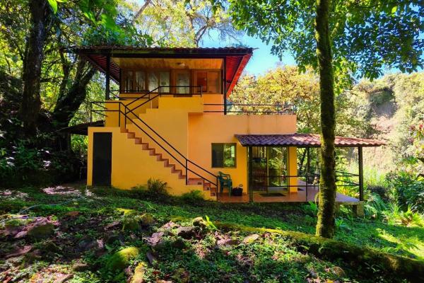 Volcano mountain home on 10.97 hectares