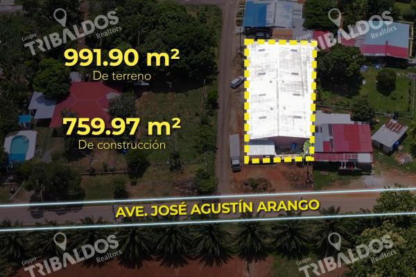 Venta de galera sobre la ave. josé agustín arango